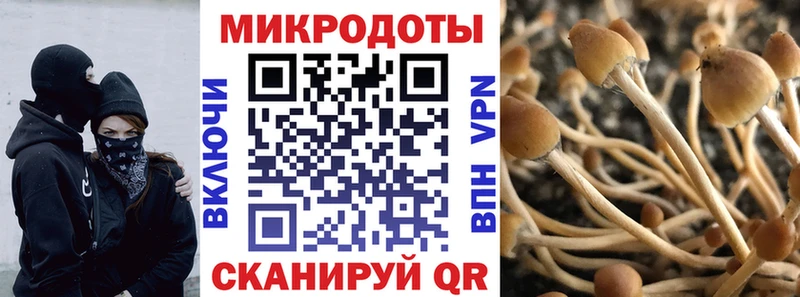 Купить где  Мценск  Псилоцибиновые грибы Psilocybe 